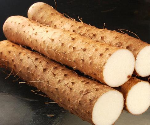 How to compare diosgenin powder vs synthetic hormone precursors?